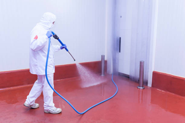 Best Rust Removal  in North Miami, FL